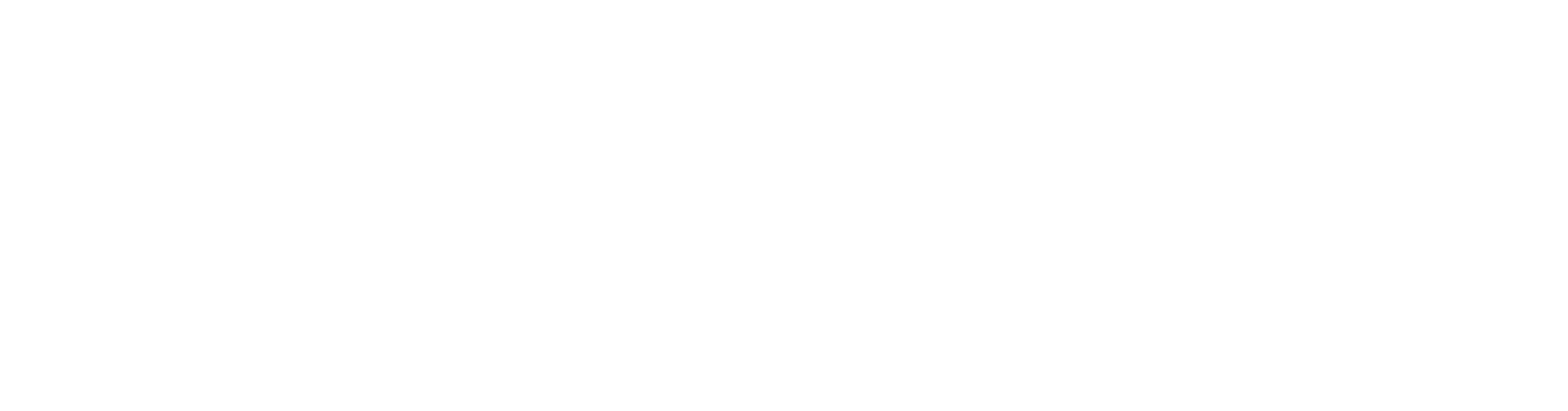 wheelstech mainlogo weiß